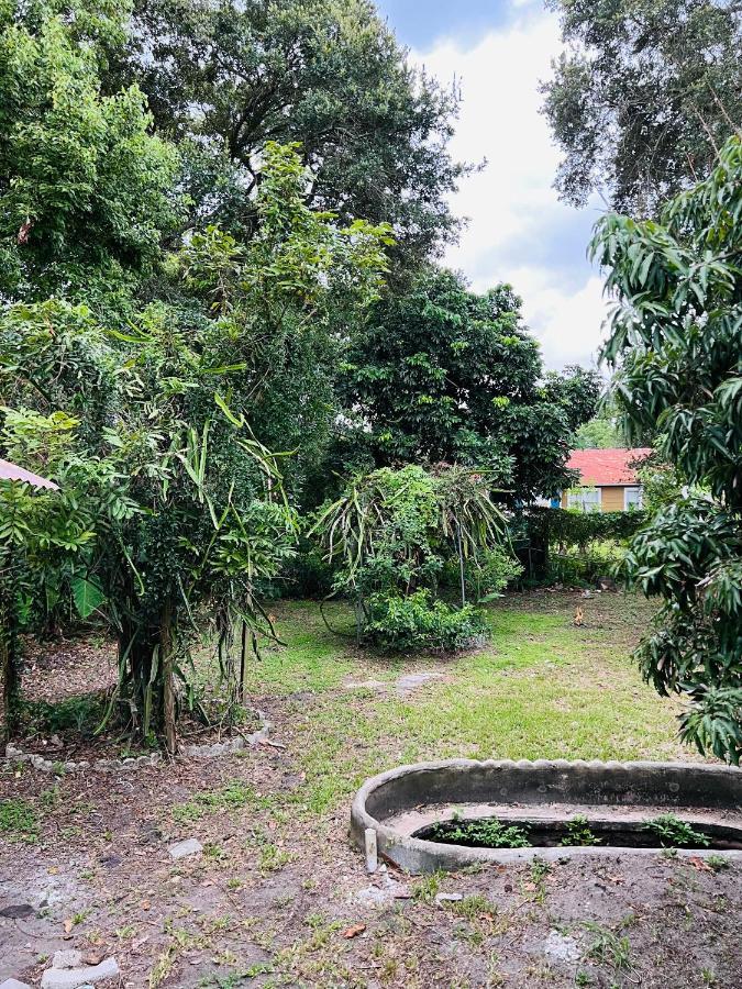 3Bdrm Fruit Tree Home Near Downtown Orlando Eksteriør bilde