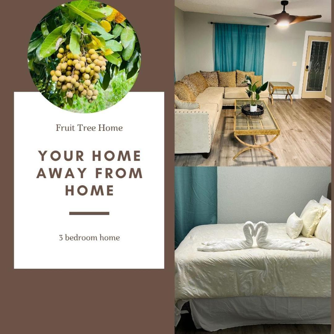 3Bdrm Fruit Tree Home Near Downtown Orlando Eksteriør bilde